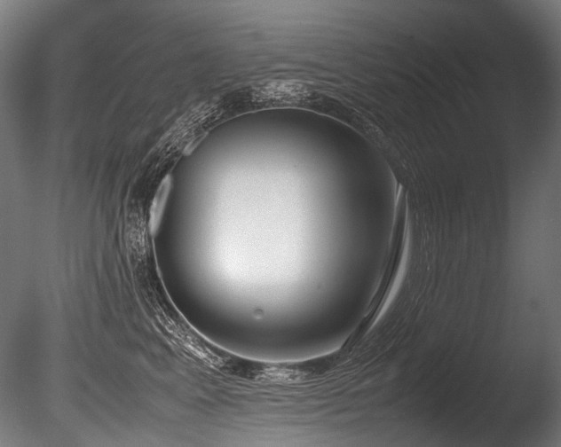 X0000086010617200703231213