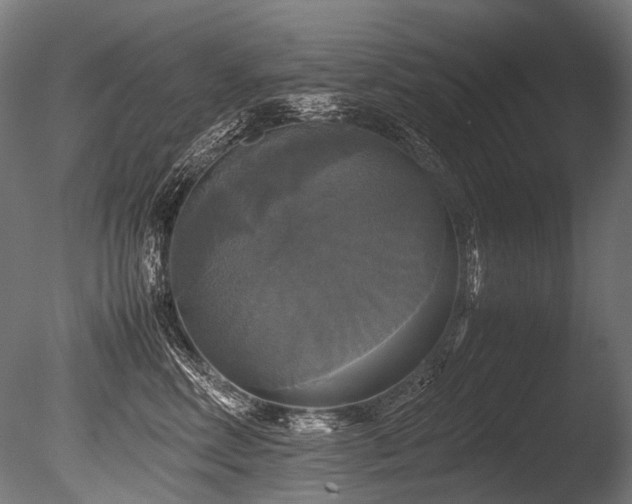 X0000086010618200703231213