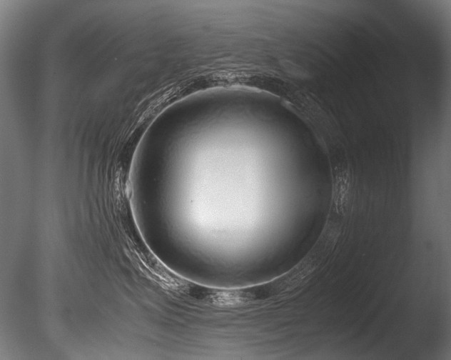 X0000086010623200703231213