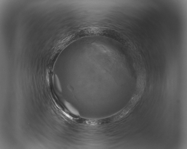 X0000086010624200703231213