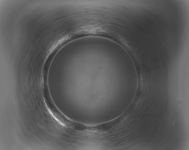 X0000086010630200703231213