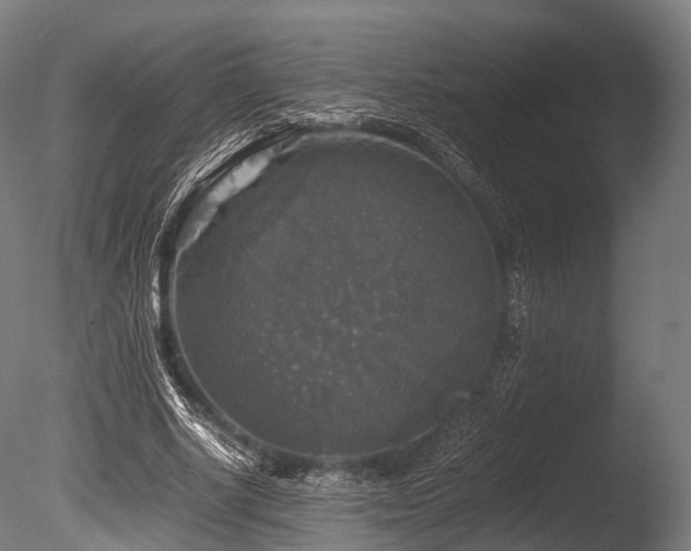 X0000086010634200703231213