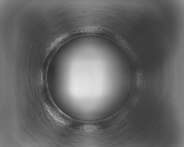 X0000086010636200703231213
