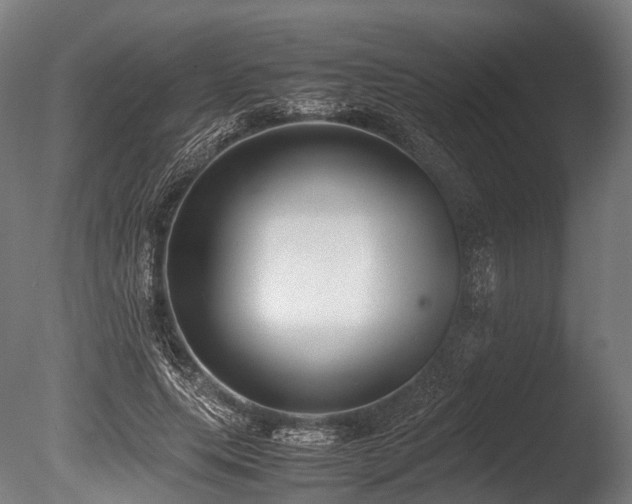 X0000086010639200703231213