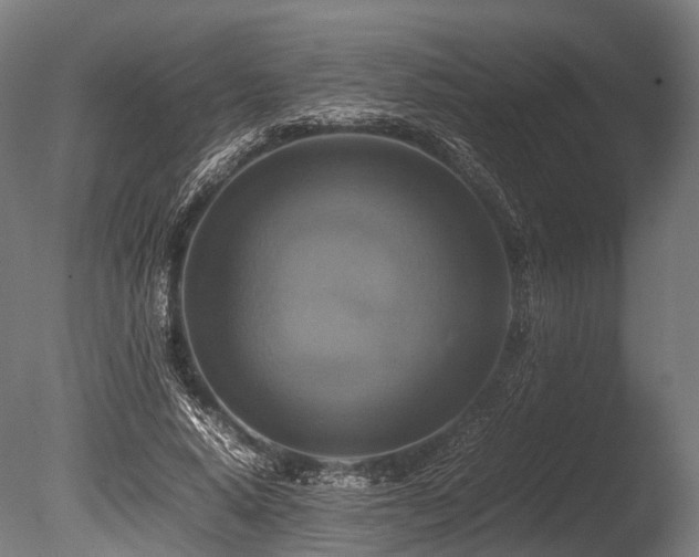 X0000086010640200703231213