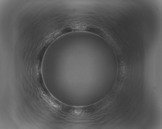 X0000086010641200703231213
