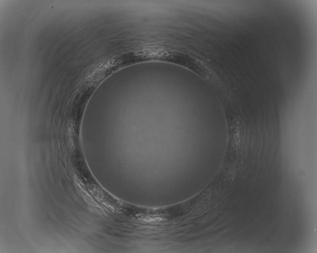 X0000086010643200703231213