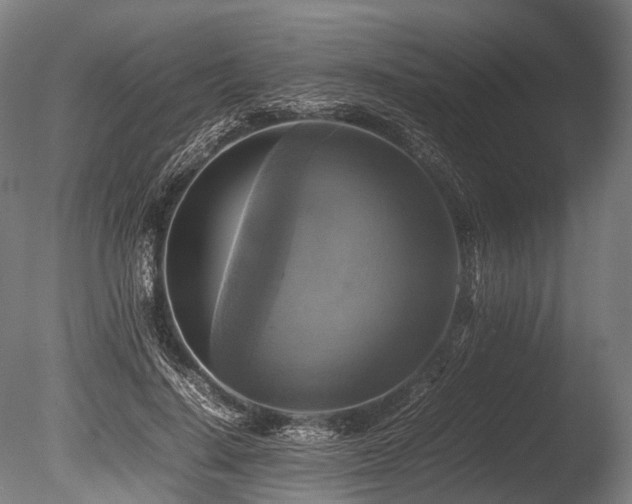 X0000086010644200703231213
