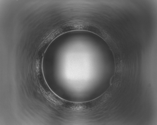 X0000086010646200703231213