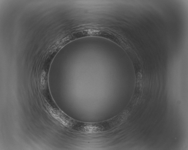 X0000086010650200703231213