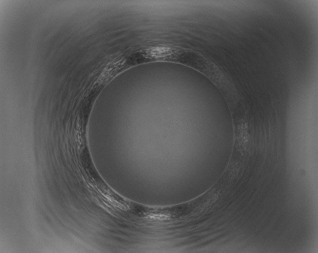X0000086010653200703231213