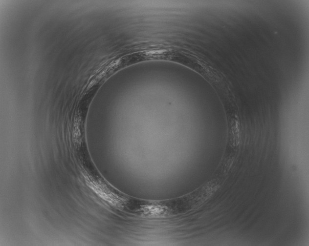 X0000086010654200703231213