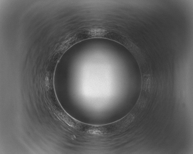 X0000086010655200703231213