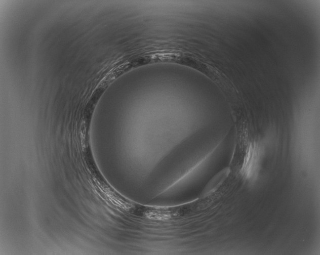 X0000086010661200703231213