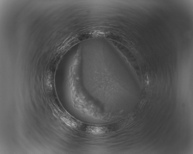 X0000086010663200703231213