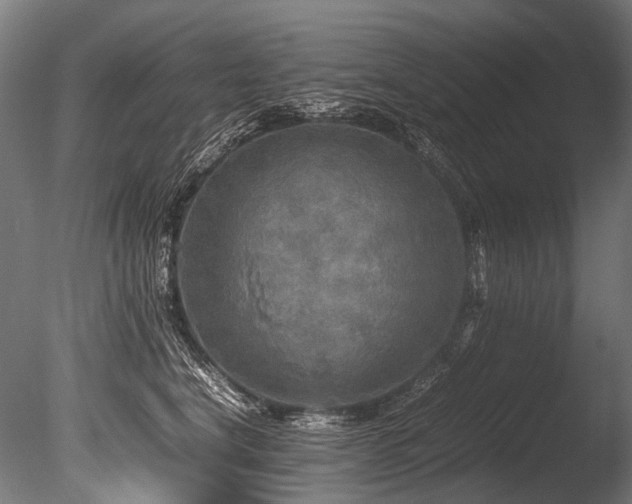 X0000086010664200703231213