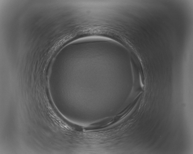 X0000086010673200703231212