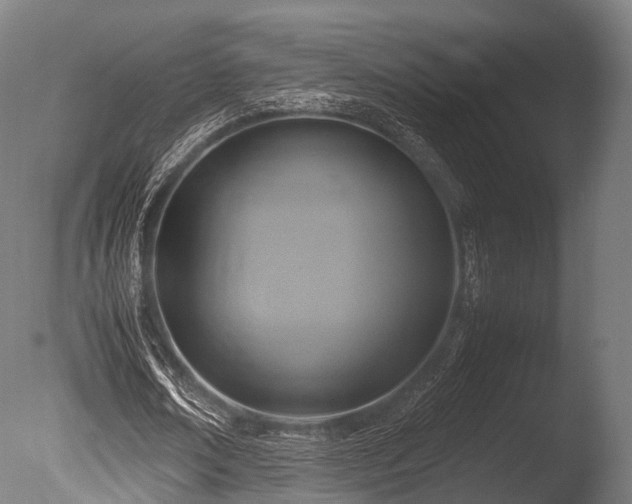 X0000086010674200703231212