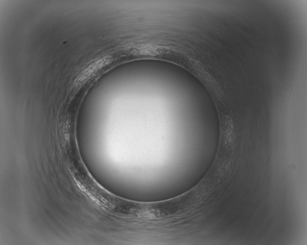 X0000086010683200703231212