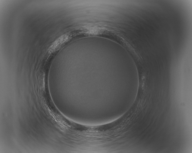 X0000086010685200703231212