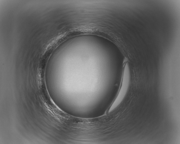 X0000086010688200703231212