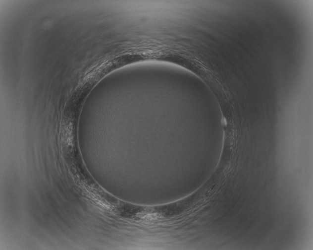 X0000086010689200703231212