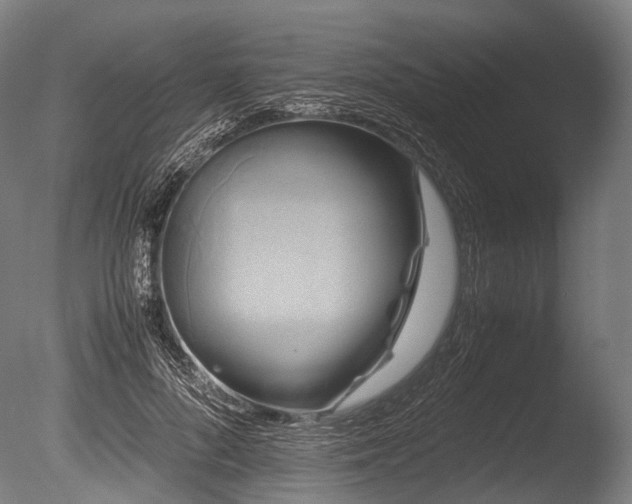X0000086010696200703231212