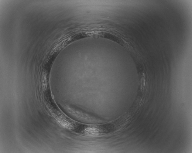 X0000086010699200703231212