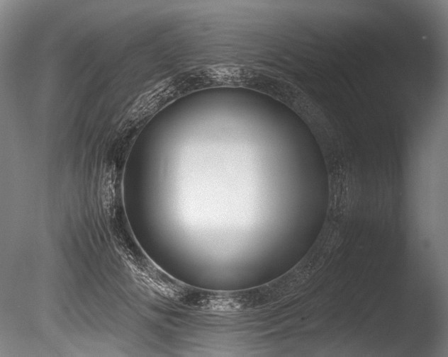 X0000086010702200703231212