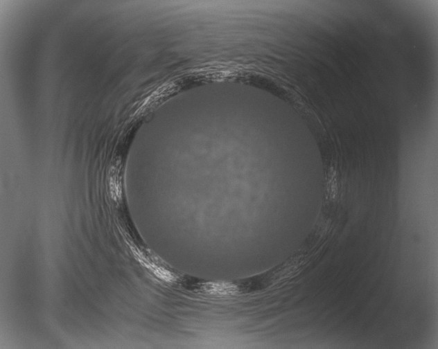 X0000086010719200703231212