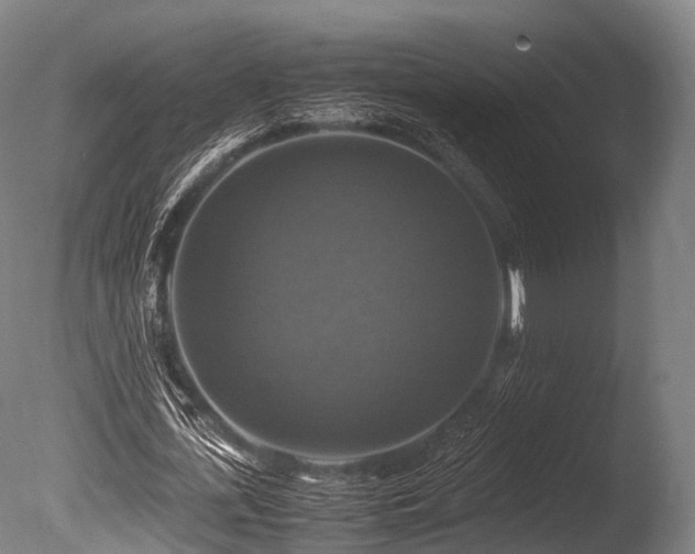 X0000086010723200703231211
