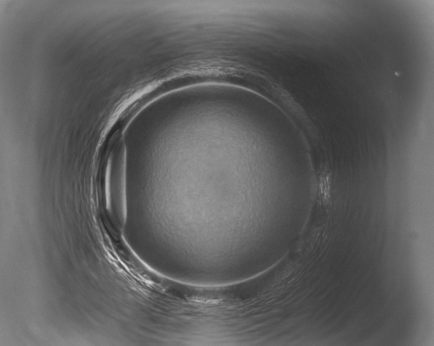 X0000086010724200703231211