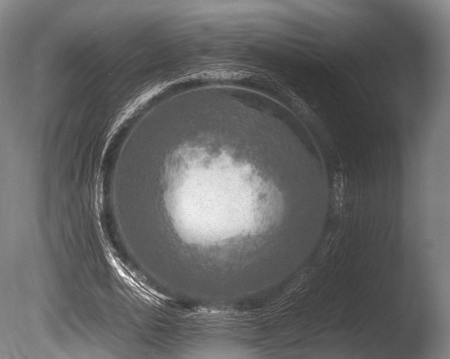 X0000086010726200703231211