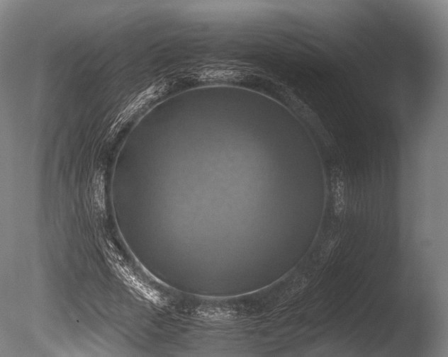X0000086010729200703231211