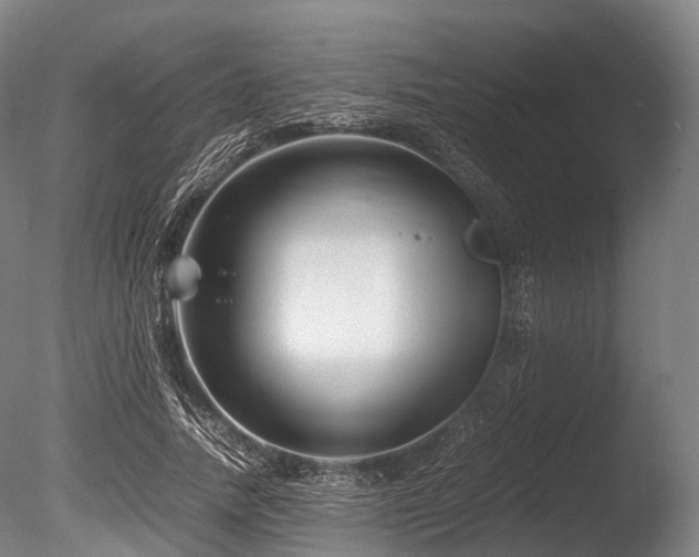 X0000086010738200703231211