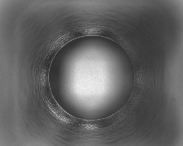 X0000086010741200703231211