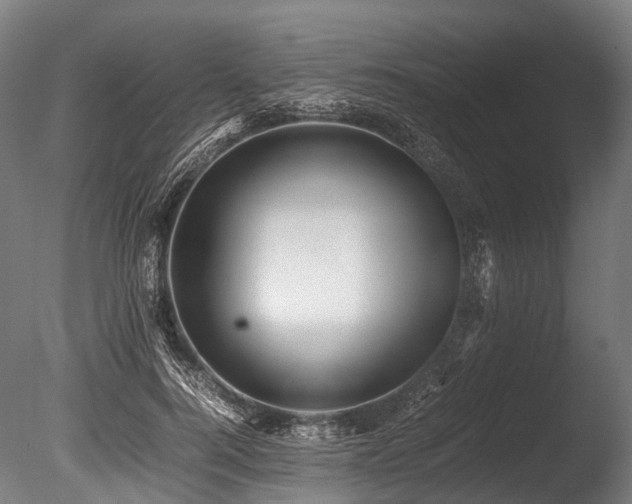 X0000086010744200703231211