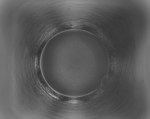 X0000086010748200703231211