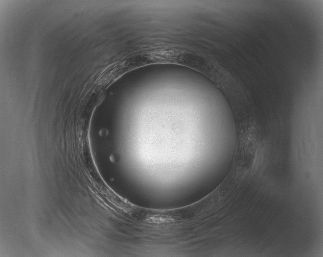 X0000086010749200703231211