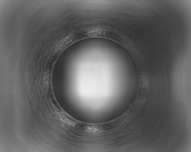 X0000086010753200703231211