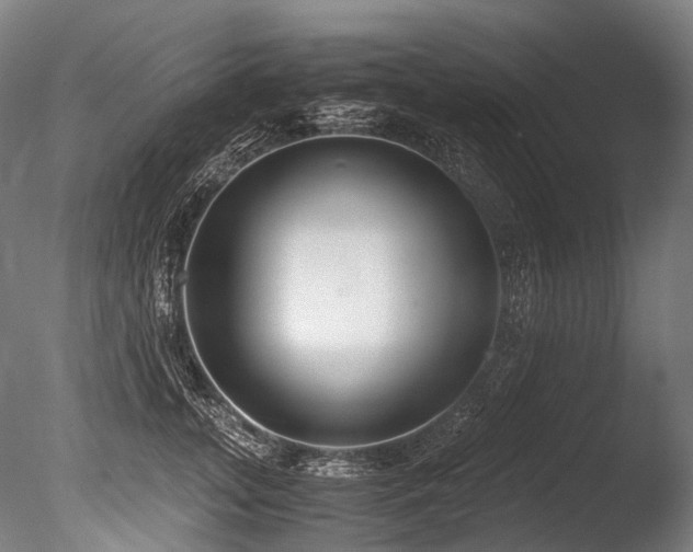 X0000086010755200703231211