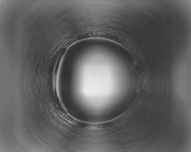 X0000086010756200703231211