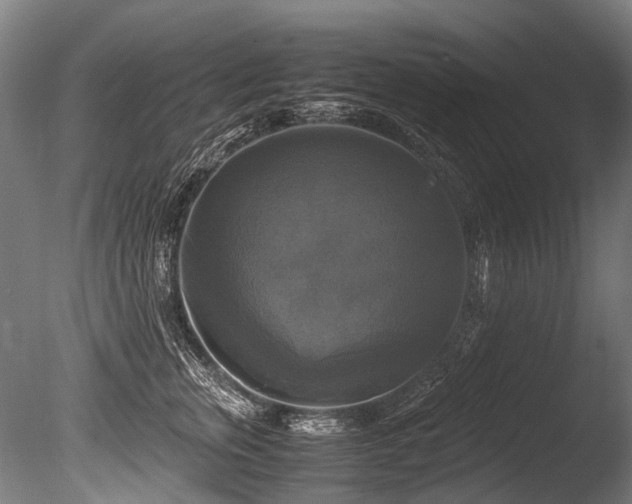 X0000086010759200703231211