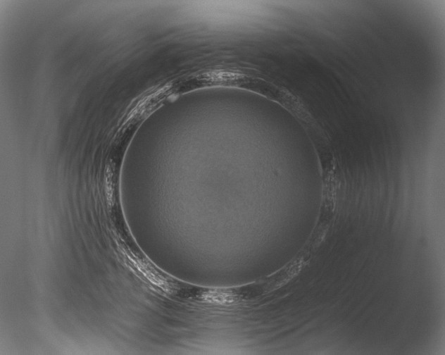 X0000086010762200703231212