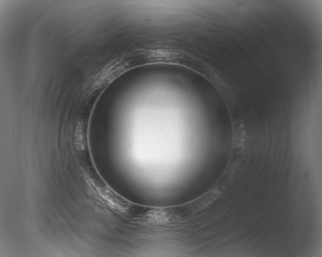 X0000086010764200703231212