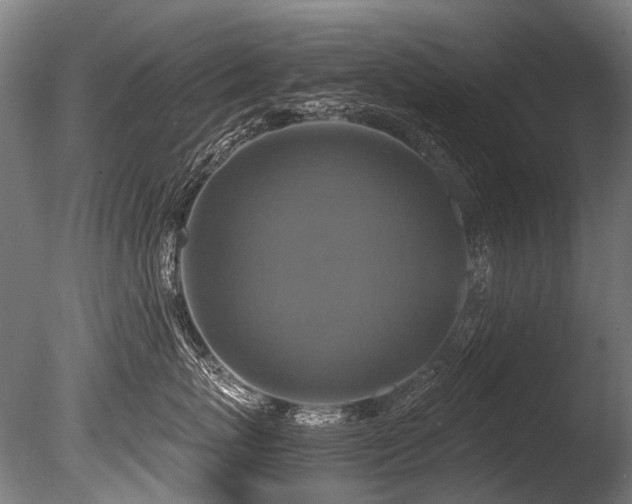 X0000086010767200703231212