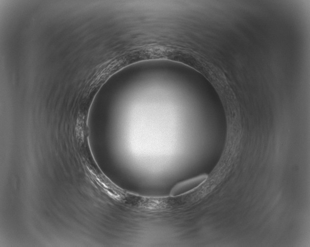 X0000086010768200703231212