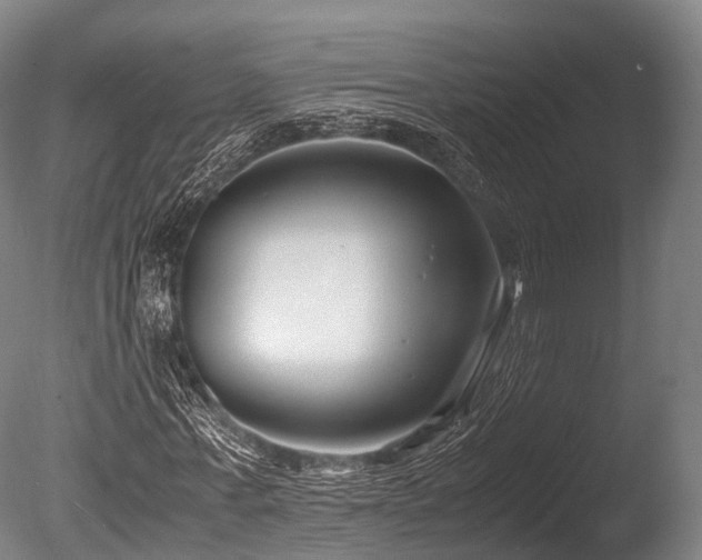 X0000086010771200703231211
