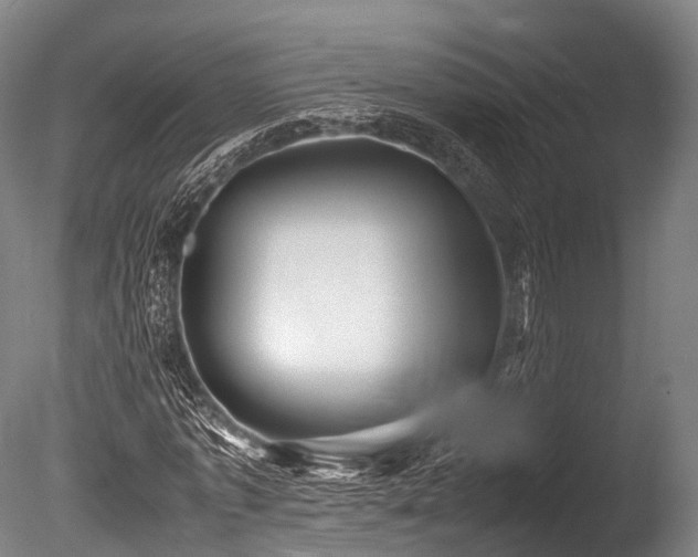X0000086010773200703231211