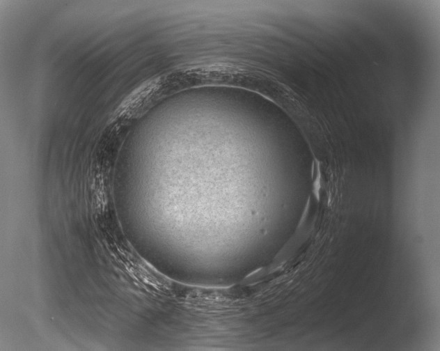 X0000086010774200703231211